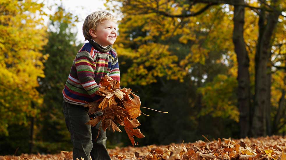 Best autumn walks in the UK boy gathering leaves